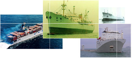 化妆品批发商如何选择上海到东莞国内海运运输公司——以深圳市恒洋物流东莞分公司为例